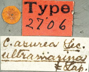 Media type: image;   Entomology 2706 Aspect: labels